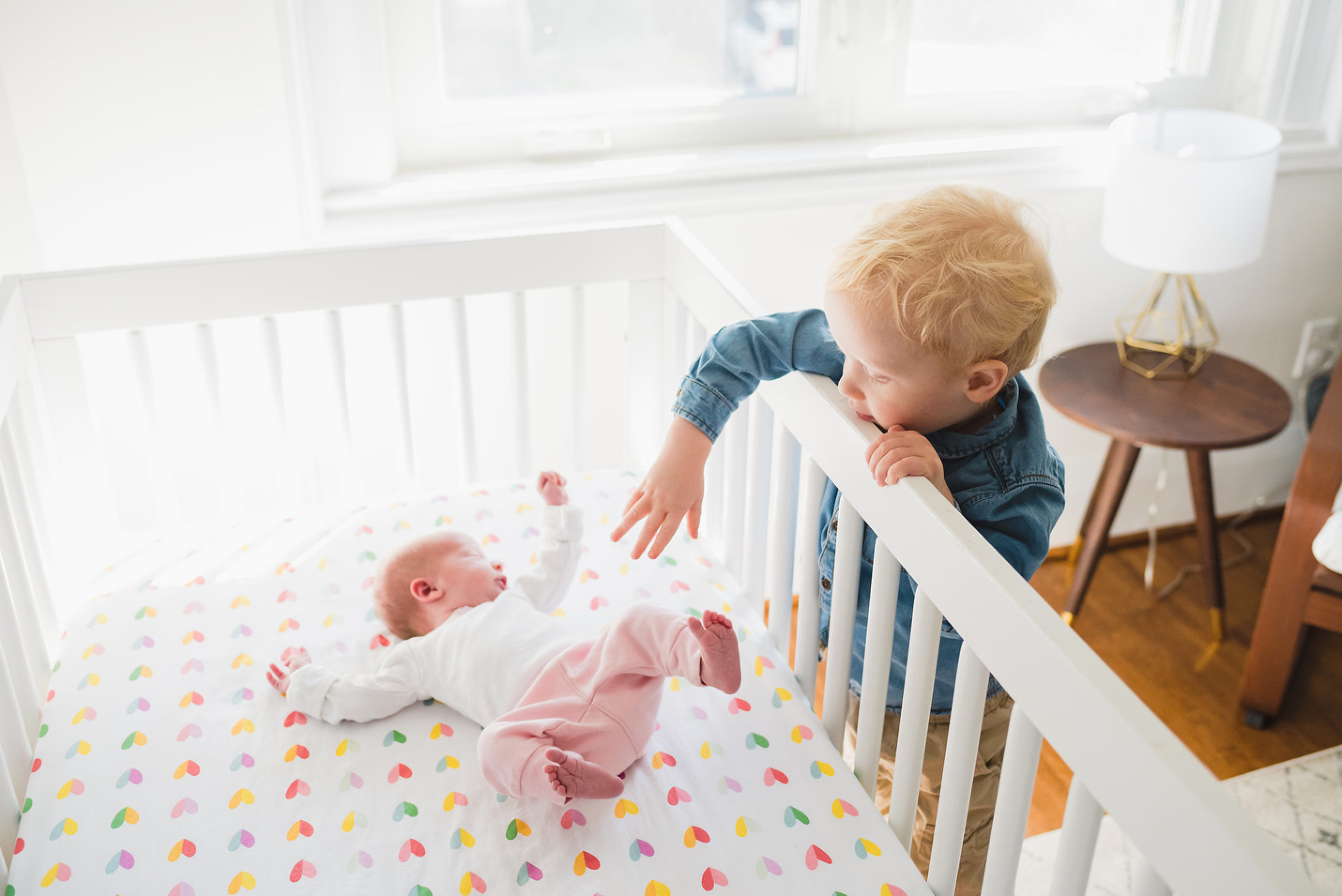 Newborn Toronto Photographer Baby Evelyn Toronto Wedding